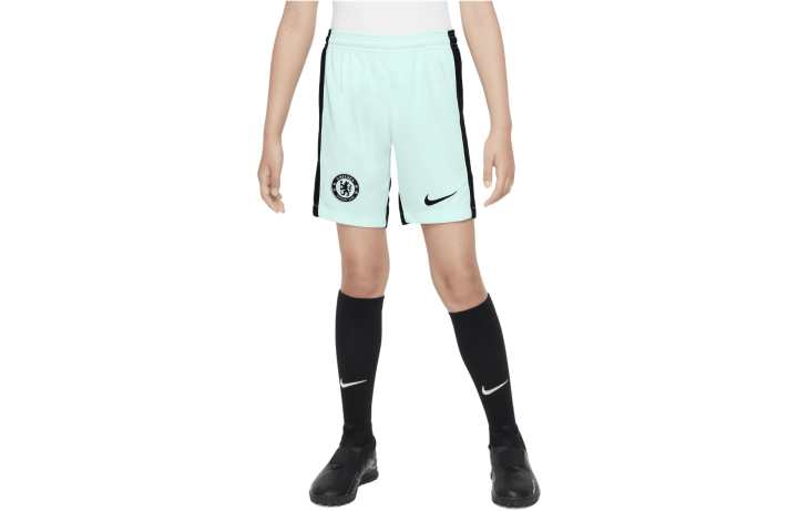 Nike Nike Kids Shorts Moderate