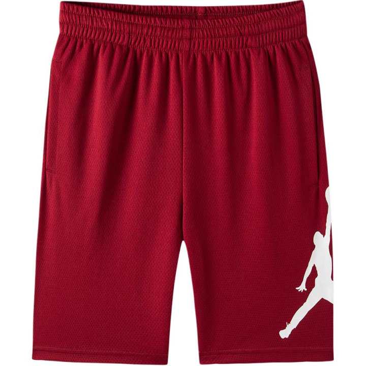 Jordan Jordan Grade School Shorts Moderate