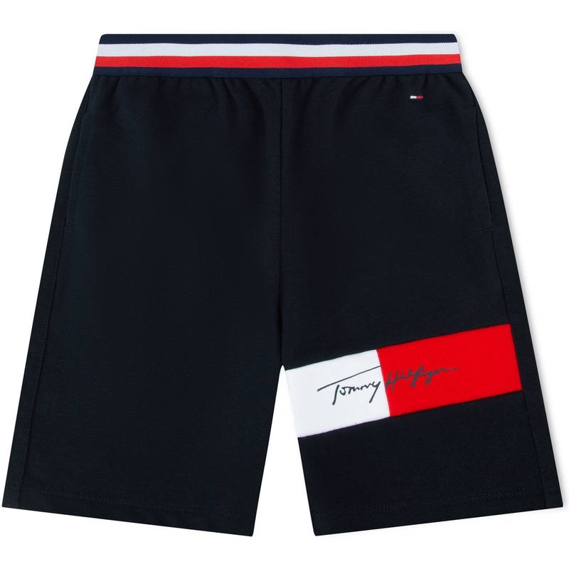 Tommy Hilfiger Casual Shorts Kids' Navy Blue