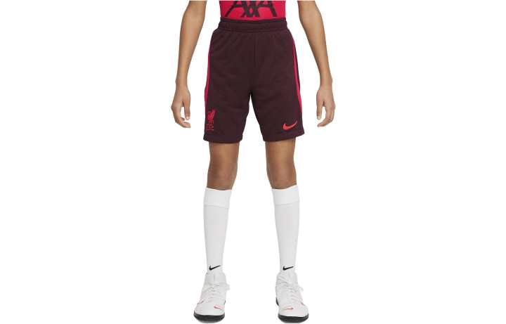 Nike Nike Kids Shorts Moderate