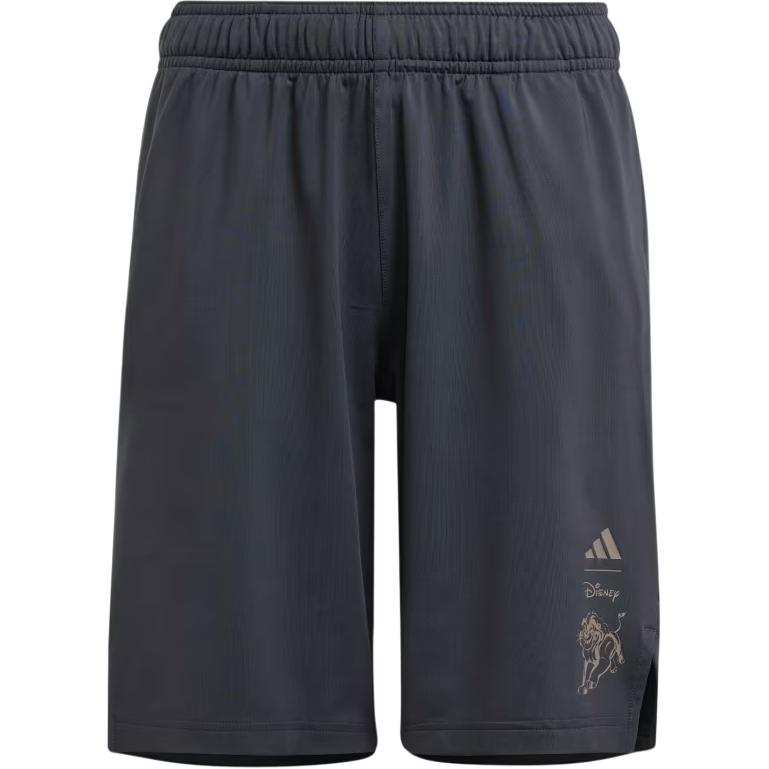 Adidas Adidas x DISHINI,LIANMINGKUAN SS24 Shorts Teenagers Carbon
