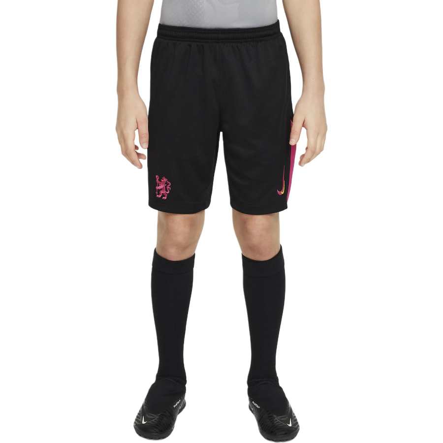 Nike Nike Chelsea FCDri Fit FW24 Shorts Teenagers Black
