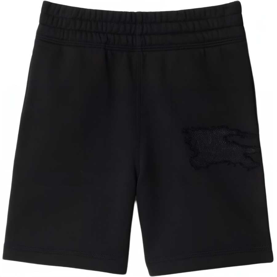 Burberry Kids Shorts Moderate