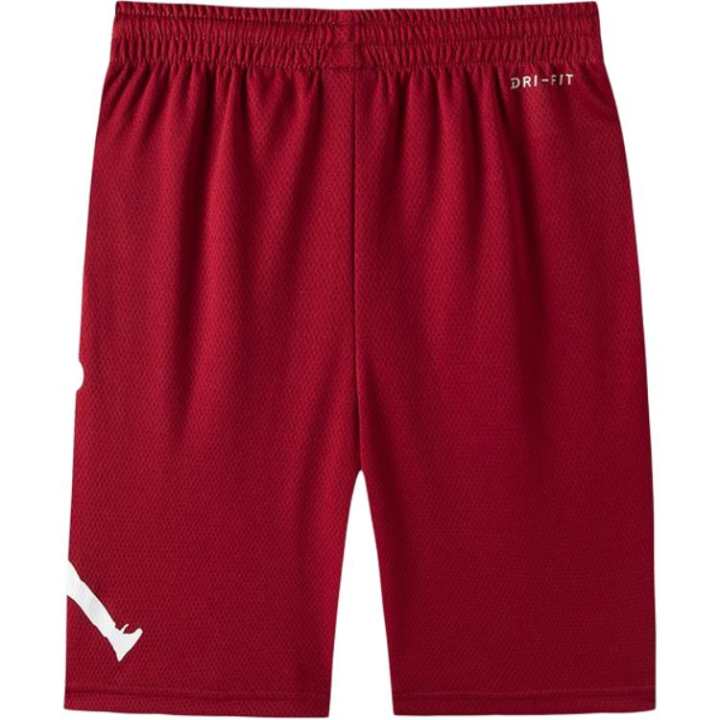 Jordan Jordan Kids Shorts Moderate