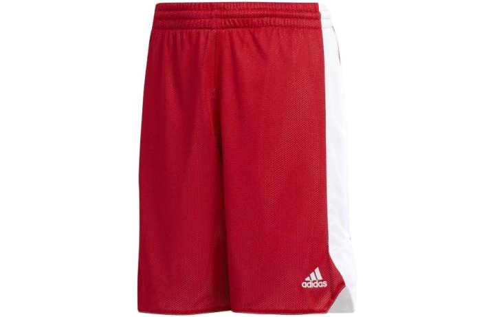 Adidas Adidas Kids Shorts Moderate