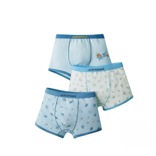 HONGDOUJUJIA Underpants 3 Pack Teenagers