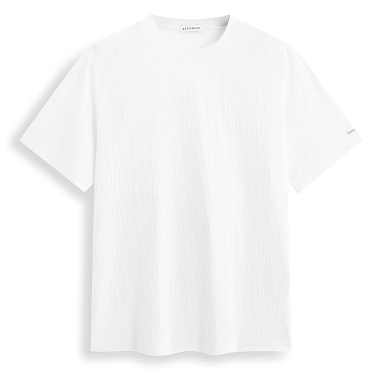 PEACEBIRD MEN T Shirts Men's Mist White 1 Crew Neck Moderate