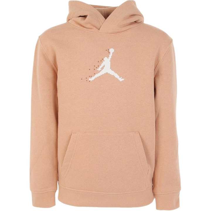 Jordan Jordan Kids Sweatshirts Hooded Moderate