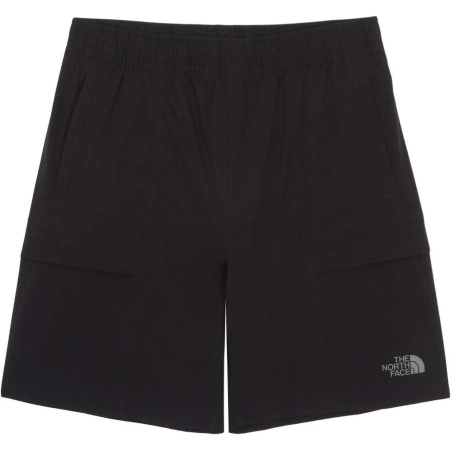 THE NORTH FACE ICEDAY Casual Shorts Women's Black