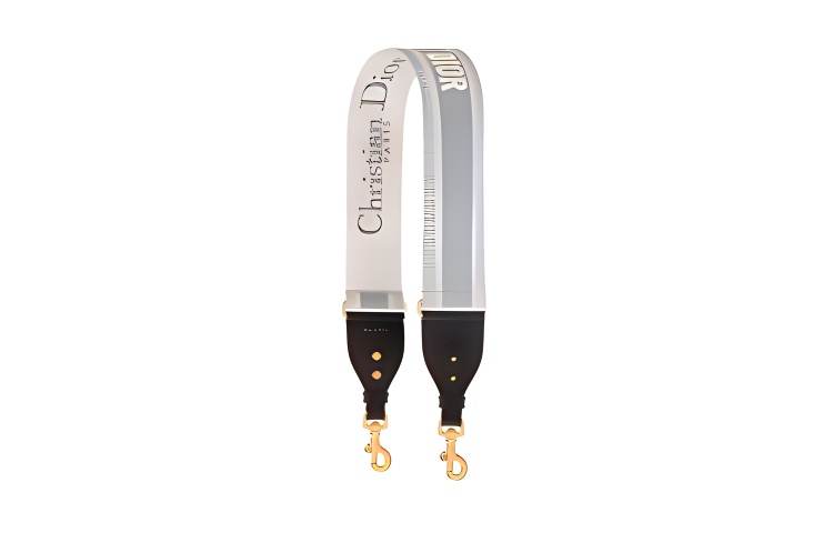 DIOR Embroidery With Genuine Leather Bag Straps Women's Gray