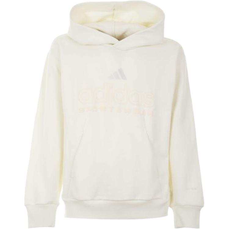 Adidas Adidas All Szn Fleece Graphic Hoodie