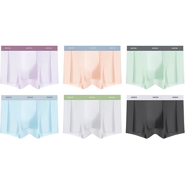 MIIOW MIIOW Men's Boxer Briefs
