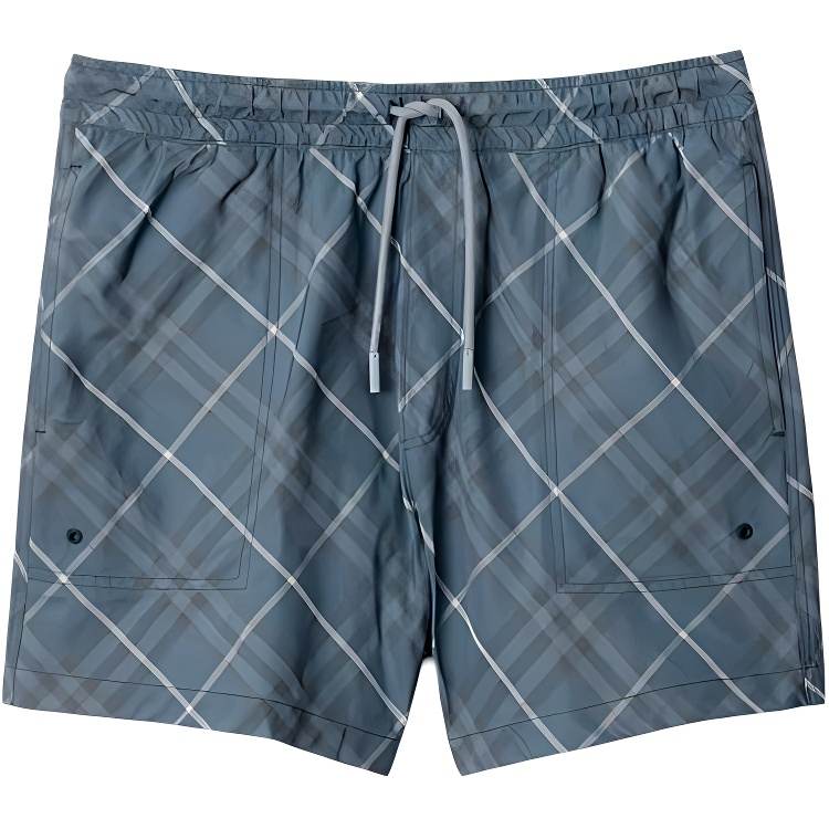 Burberry checked swim shorts