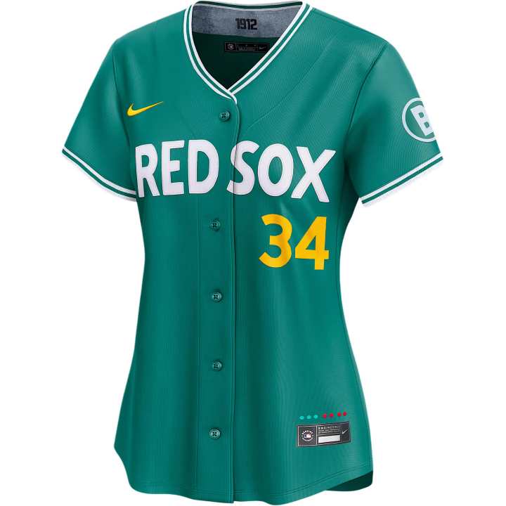 Nike Nike David Ortiz Boston Red Sox City Connect Women's's Nike Dri FIT Adv Mlb Limited Jersey