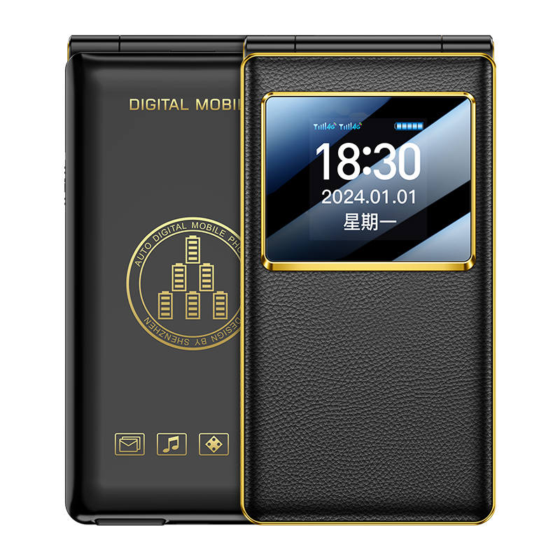 GIONEE GIONEE Feature Phones