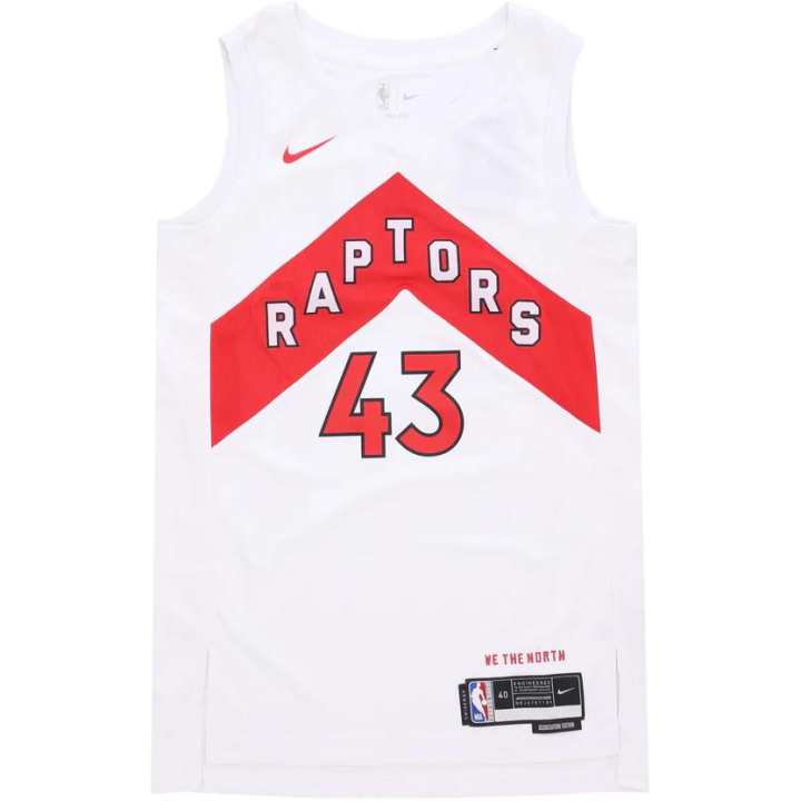 Nike Nike Pascal Siakam Toronto Raptors Dri Fit Jersey