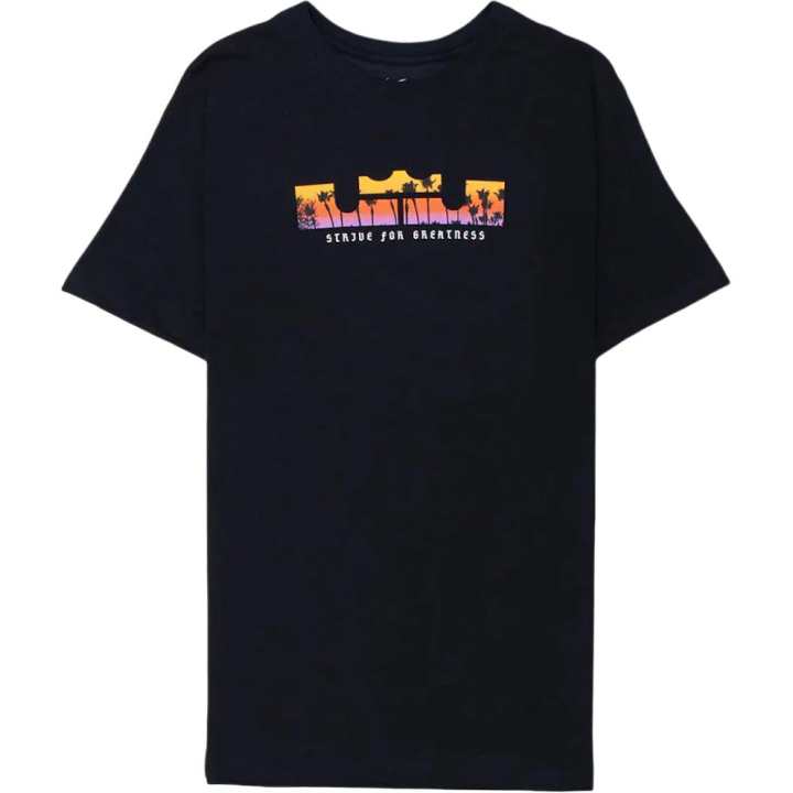 Nike Nike LeBron Logo Dri Fit T shirt