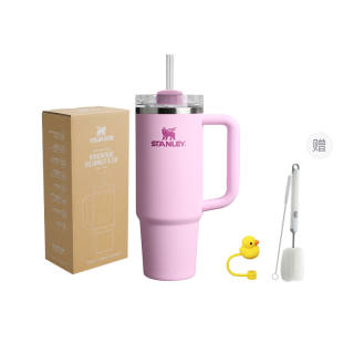 STANLEY Adventure Collection H2.0 Straw Cup Insulated Cups 887ml Gift Box Set