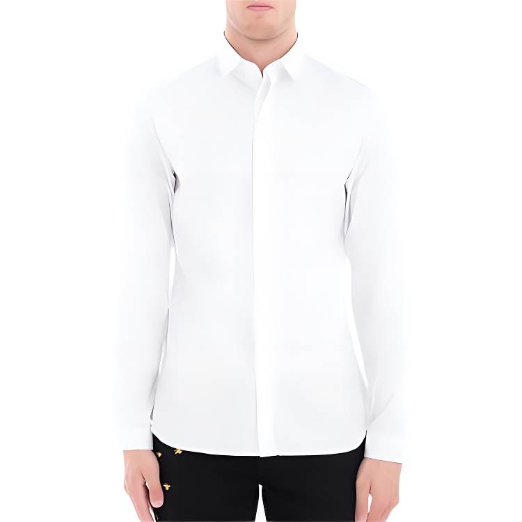 DIOR Quarterly New Products Shirts Men's White Lapel Moderate Shirt