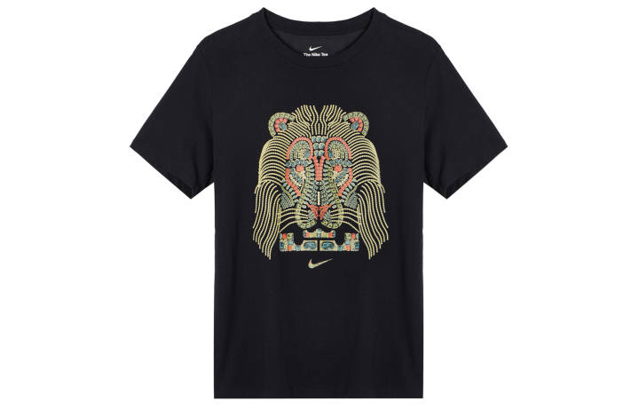 Nike Nike LeBron James Strive For Greatness T shirt