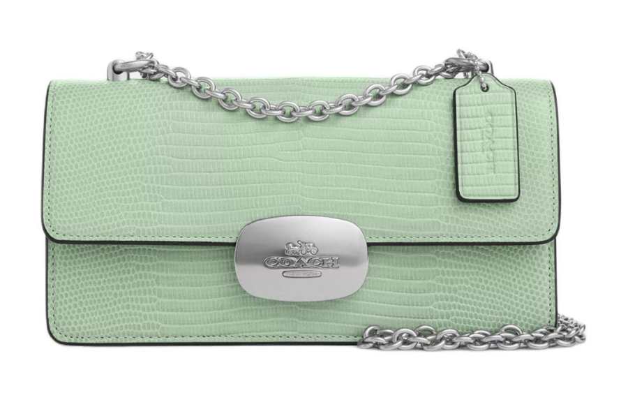 COACH Eliza Leather Shoulder Bag, Crossbody Bag Small Women's Silver & Light Green