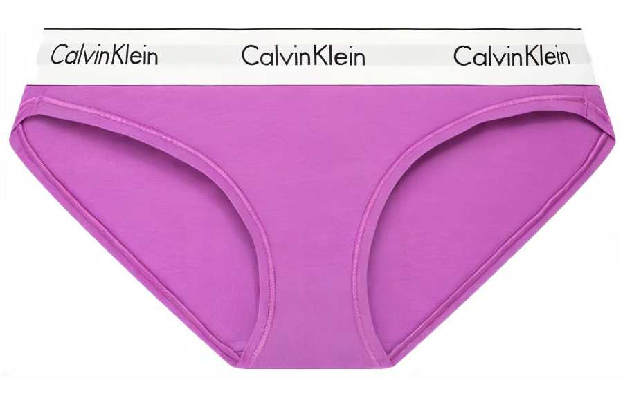 CALVIN KLEIN Modern Gravity Band Underpants Women's Cardamom Purple