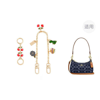 Jingxi Alloy Bag Accessory Women's Gold tone