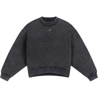 Axel Arigato crew signature sweatshirt
