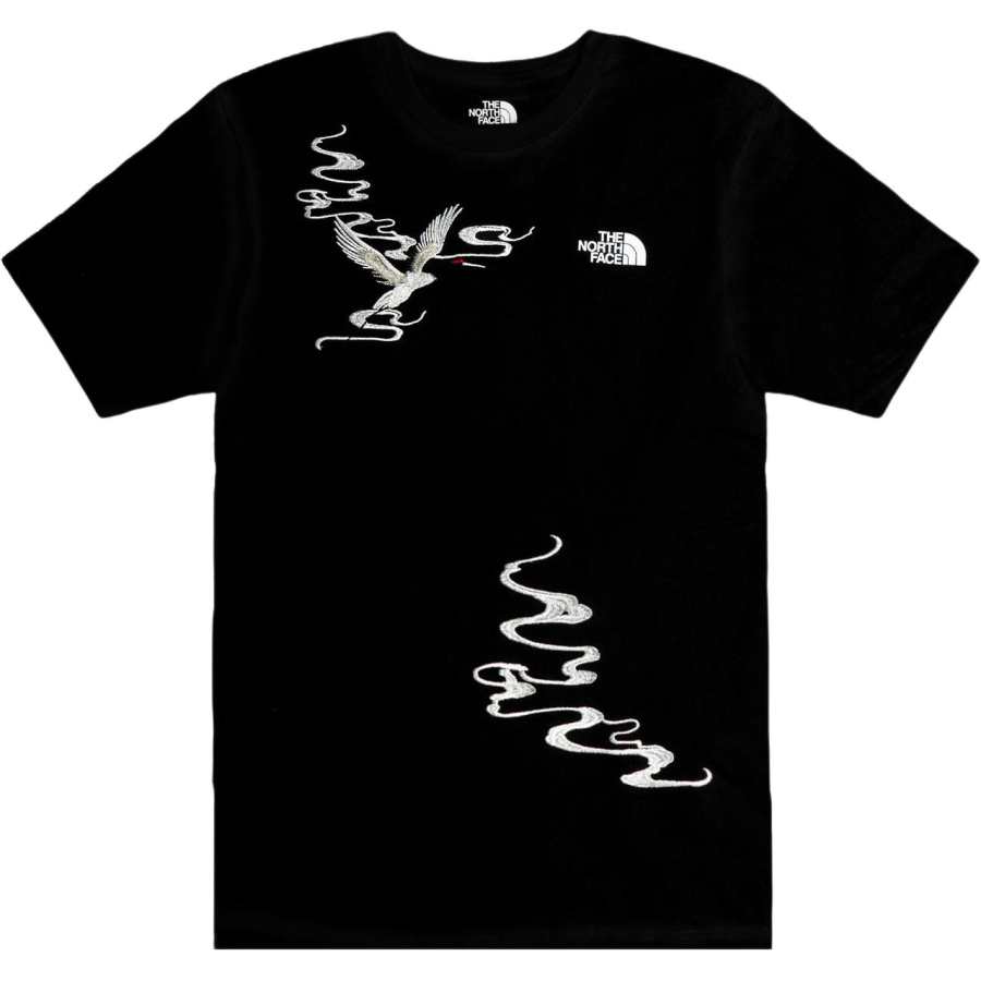 THE NORTH FACE T Shirts Unisex Black Crew Neck Moderate Straight Fit