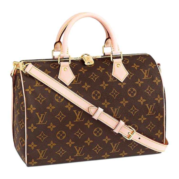 LOUIS VUITTON Speedy Coated Canvas With Smooth Cow Leather Pillow Bag Handbag Women's Brown