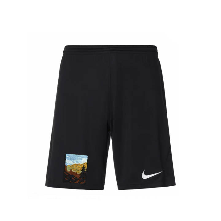 Nike Nike Dri Fit Casual Shorts Men's