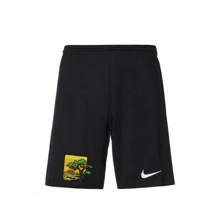 Nike Nike Dri Fit Casual Shorts Men's
