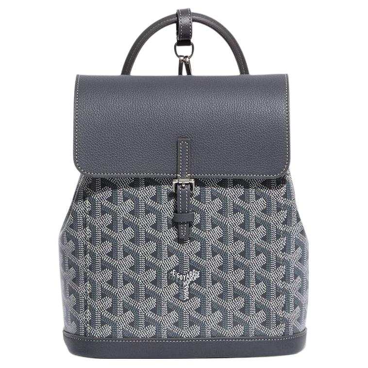 GOYARD Alpin Canvas With Leather Backpack Mini Unisex Gray