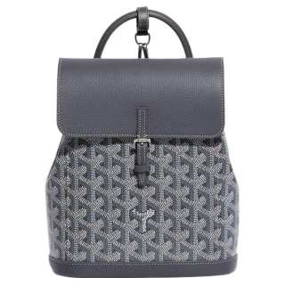 GOYARD Alpin Canvas With Leather Backpack Mini Unisex Gray