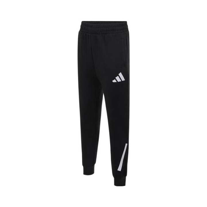 Adidas Adidas Sweatpants Z.N.E SS25 PANTS Teenagers
