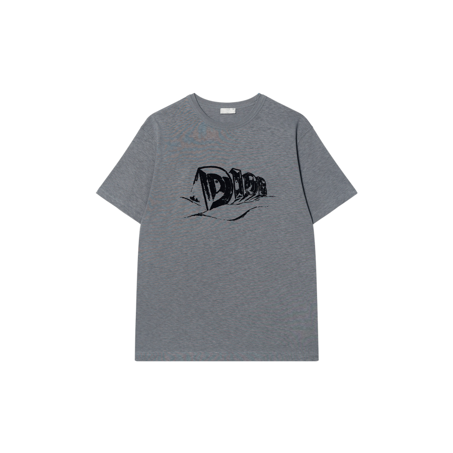 DIOR DIOR T Shirts Men's Gray Crew Neck Moderate