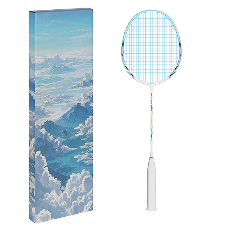 Li-Ning Li Ning Shadow Blade 199 Full Carbon Badminton Rackets Offensive Type Heavy Head, Stiff Shaft Advanced Level 675mm