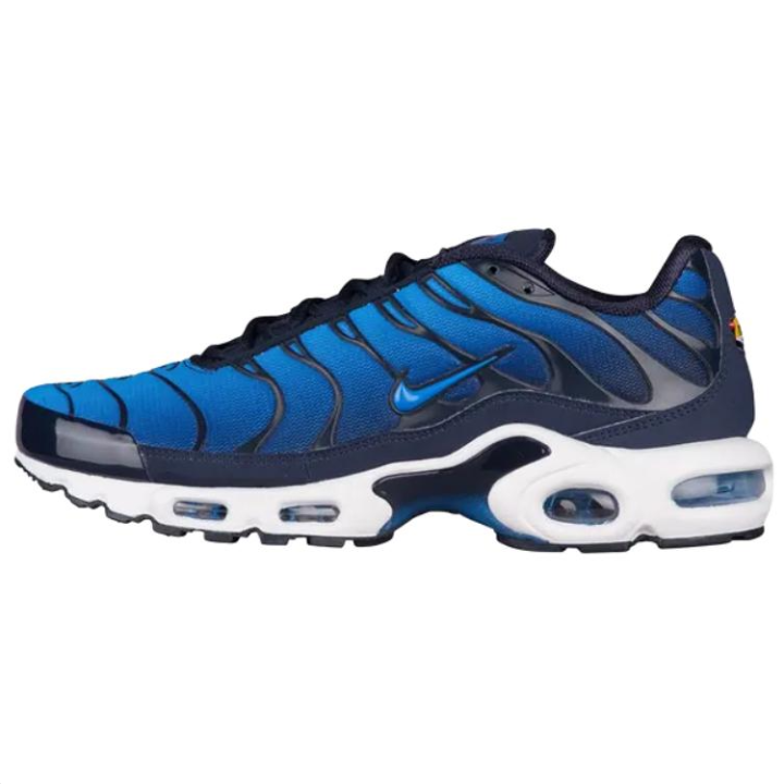 Nike Nike Air Max Plus Abrasion Resistant Low top Running Shoes Men's Blue