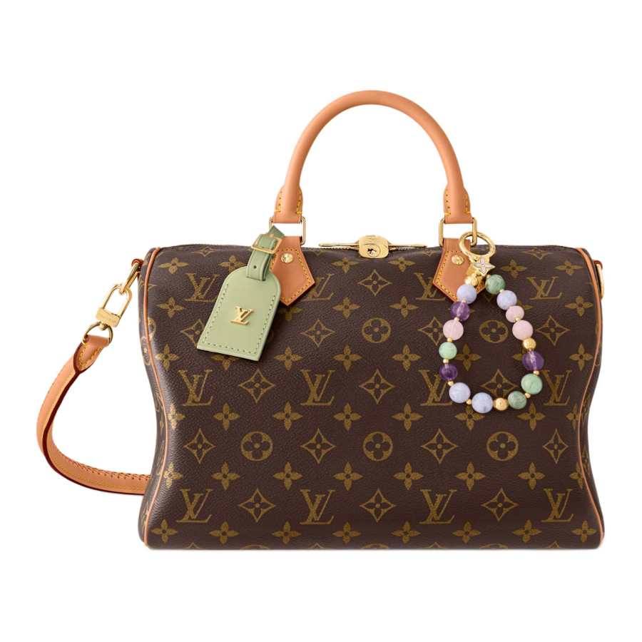 LOUIS VUITTON SPEEDY SOFT Coated Canvas Handbag Women's Brown