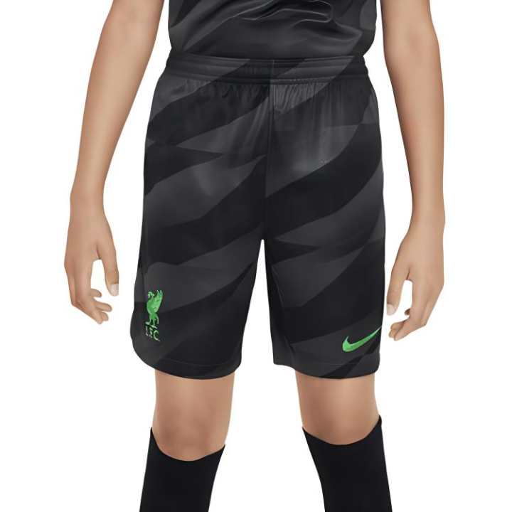 Nike Nike Grade School Shorts Moderate