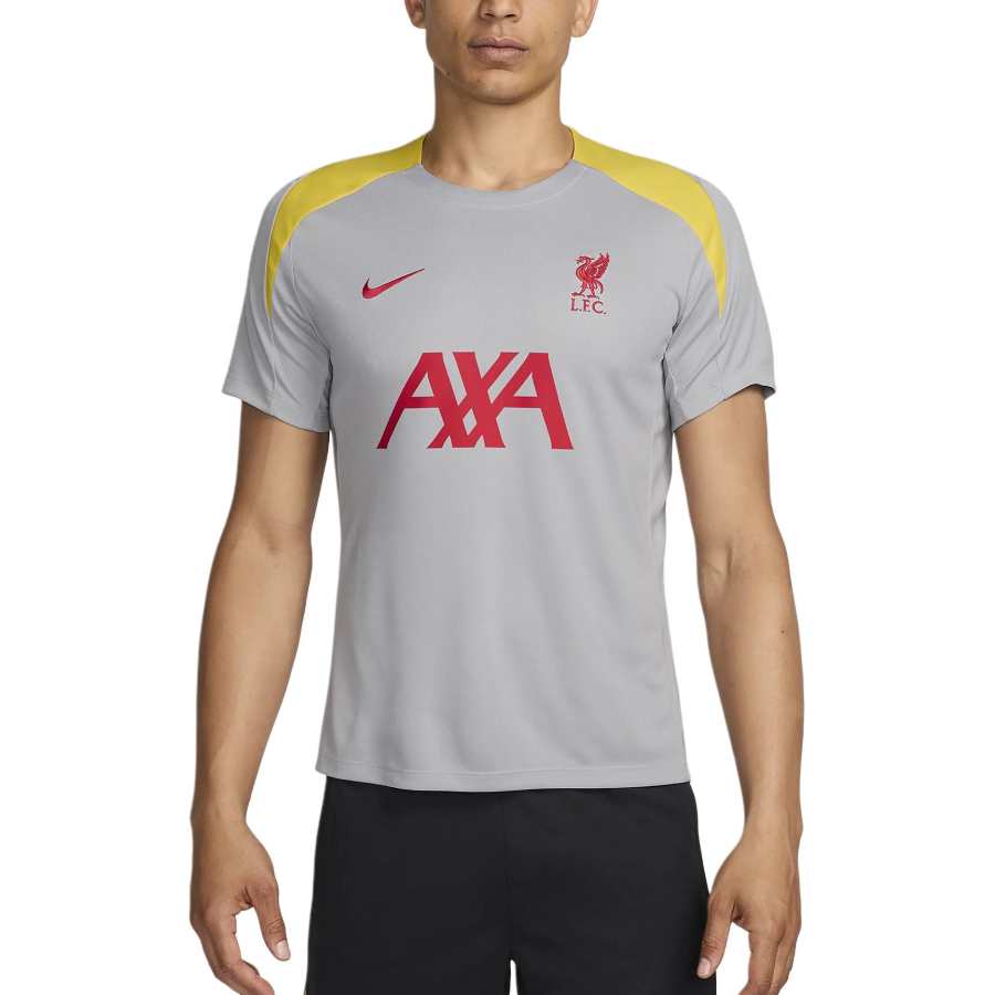 Nike Nike Liverpool FW24 F.C. Strike Third Soccer Jersey Men's Light Smoke Gray