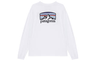 Patagonia Responsibili Tee T Shirt Men's