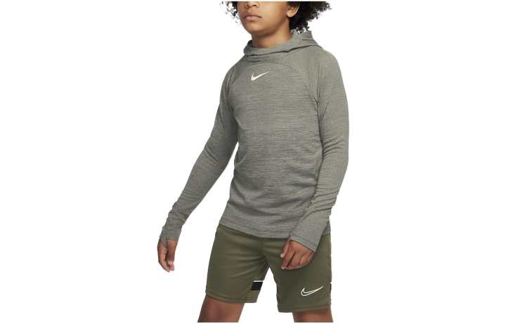 Nike Nike Kids Sweatshirts Hooded Moderate