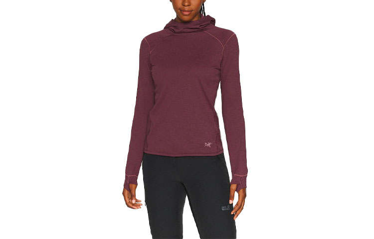 Arcteryx Arc'teryx Motus Sweatshirt Women's