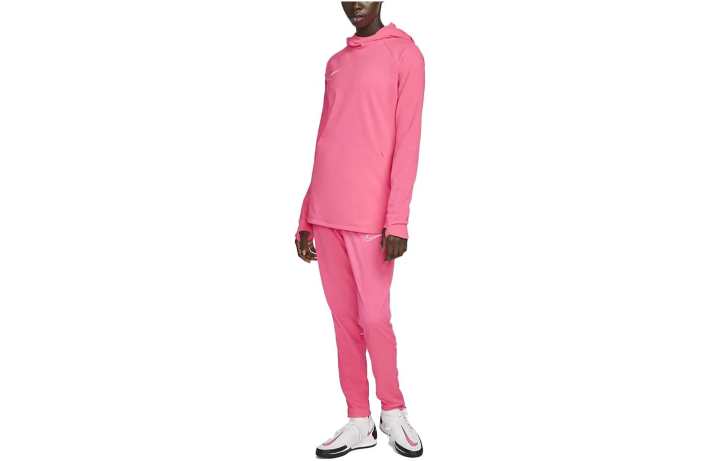 Nike Nike Sweatshirts Women's Pink Hooded Moderate Regular