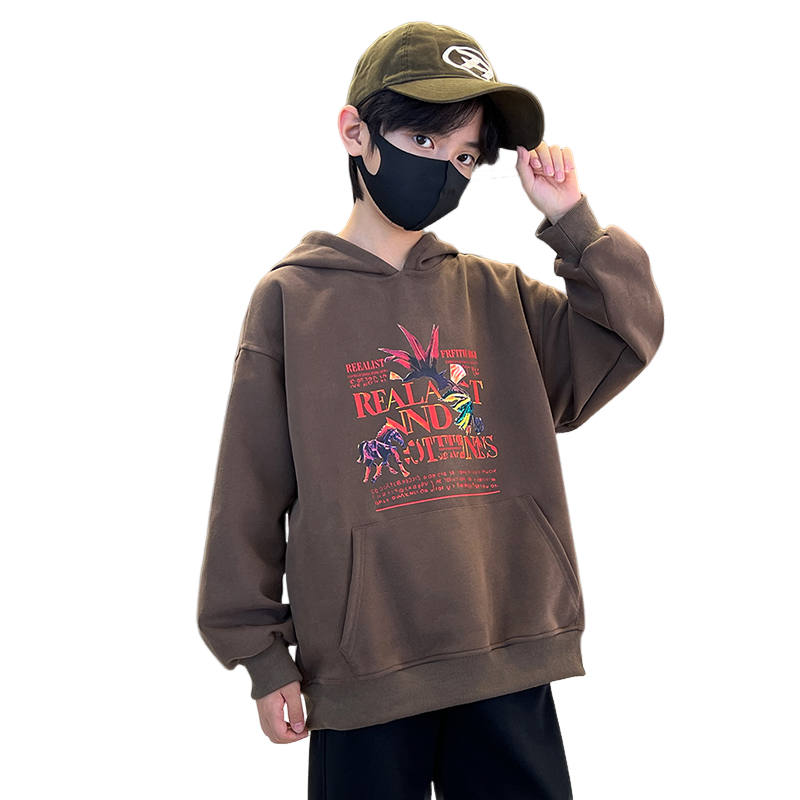 Lanza Kids Sweatshirts Hooded Moderate