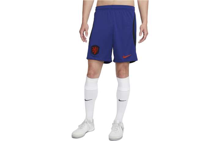 Nike Nike Casual Shorts Men's Blue Moderate