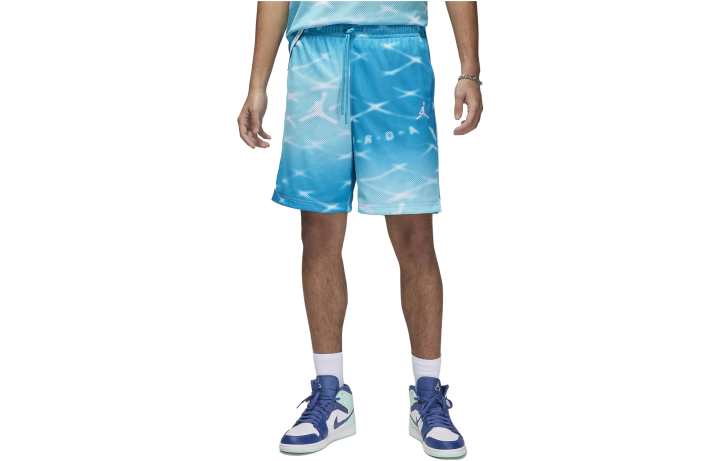 Jordan Jordan Casual Shorts Men's Blue Moderate