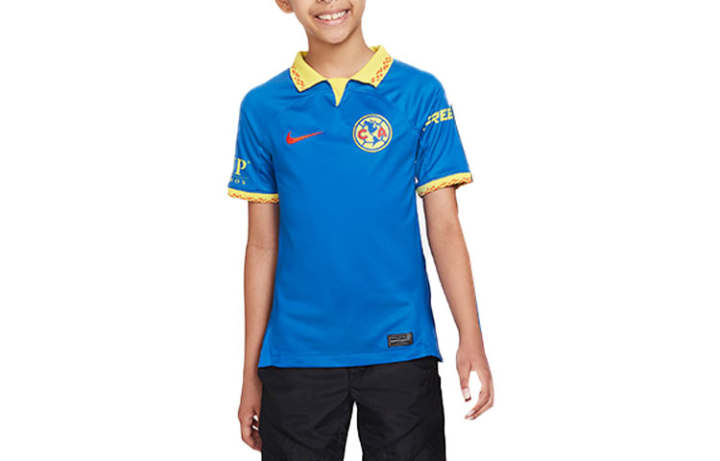 Nike Nike Kids Casual Sportswear Crew Neck Moderate