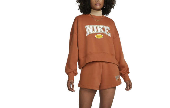 Nike Nike Sweatshirts Women's Light Brown Crew Neck Moderate Regular